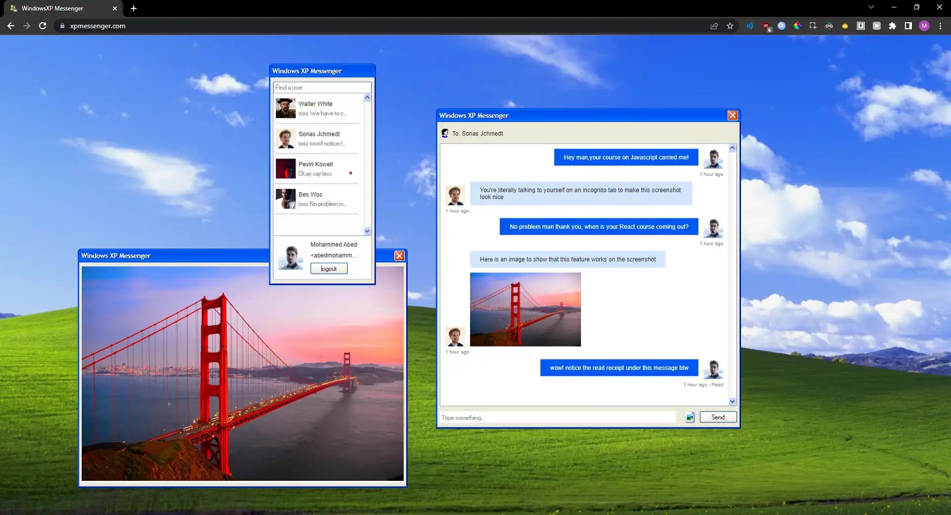 Showcase of XPMessenger, with a chat window, friends window, and an image window open